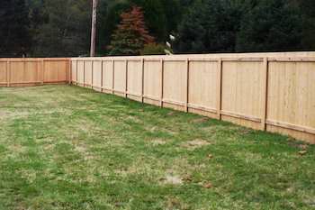 wire fencing for dogs