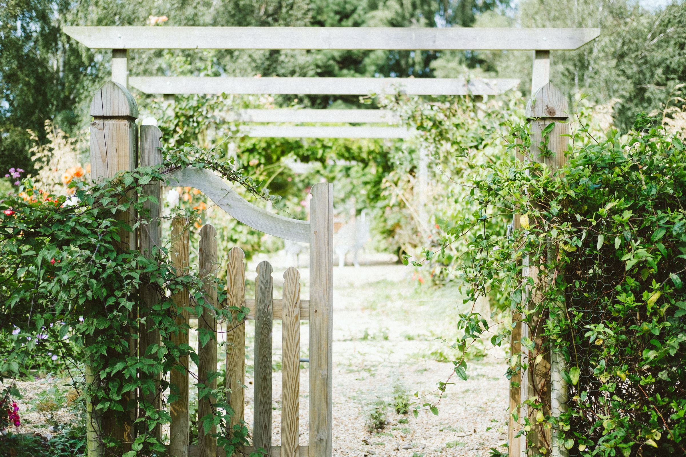 You are currently viewing Tips for Building a Small Garden Fence