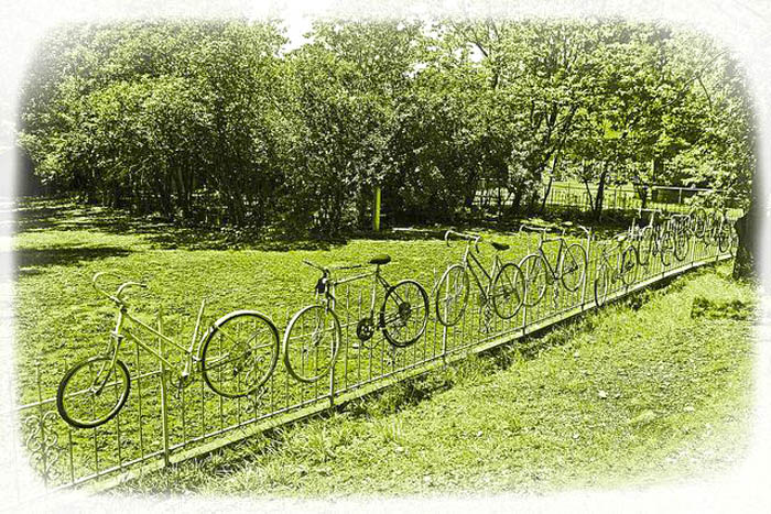 singleton fence : gates