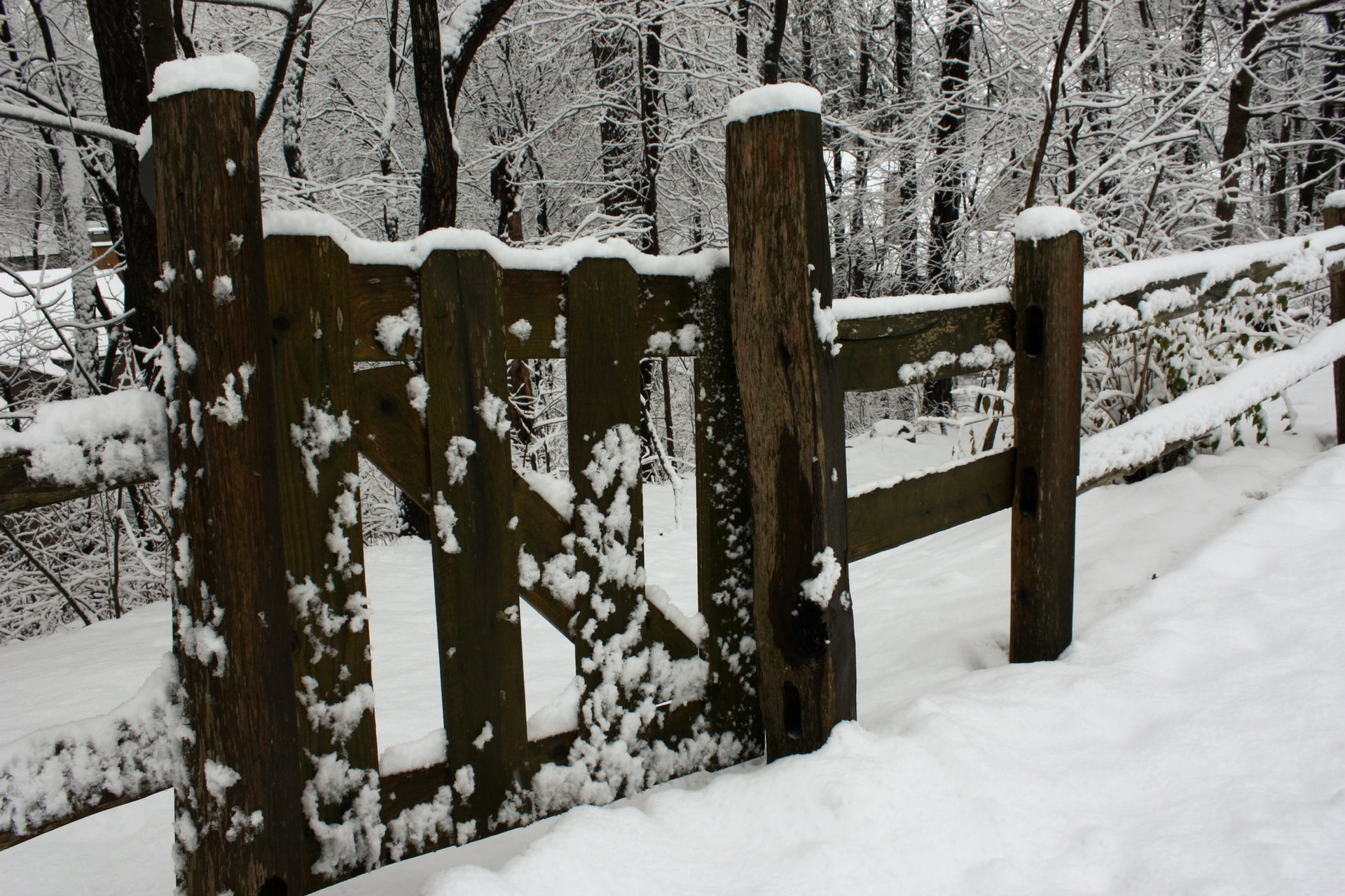 Read more about the article Wood Fence Winter Maintenance Tips