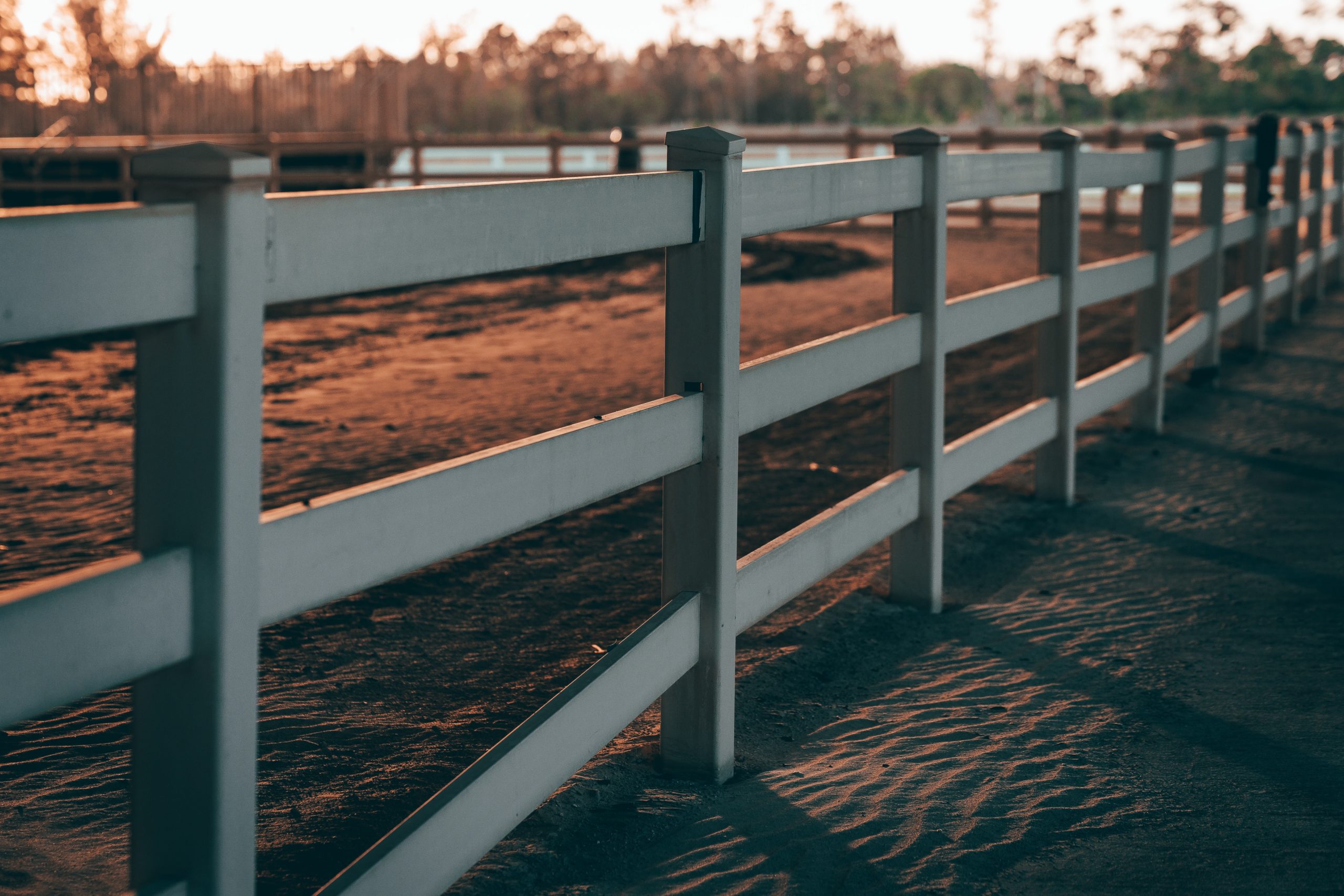 Read more about the article Types of Fence Posts