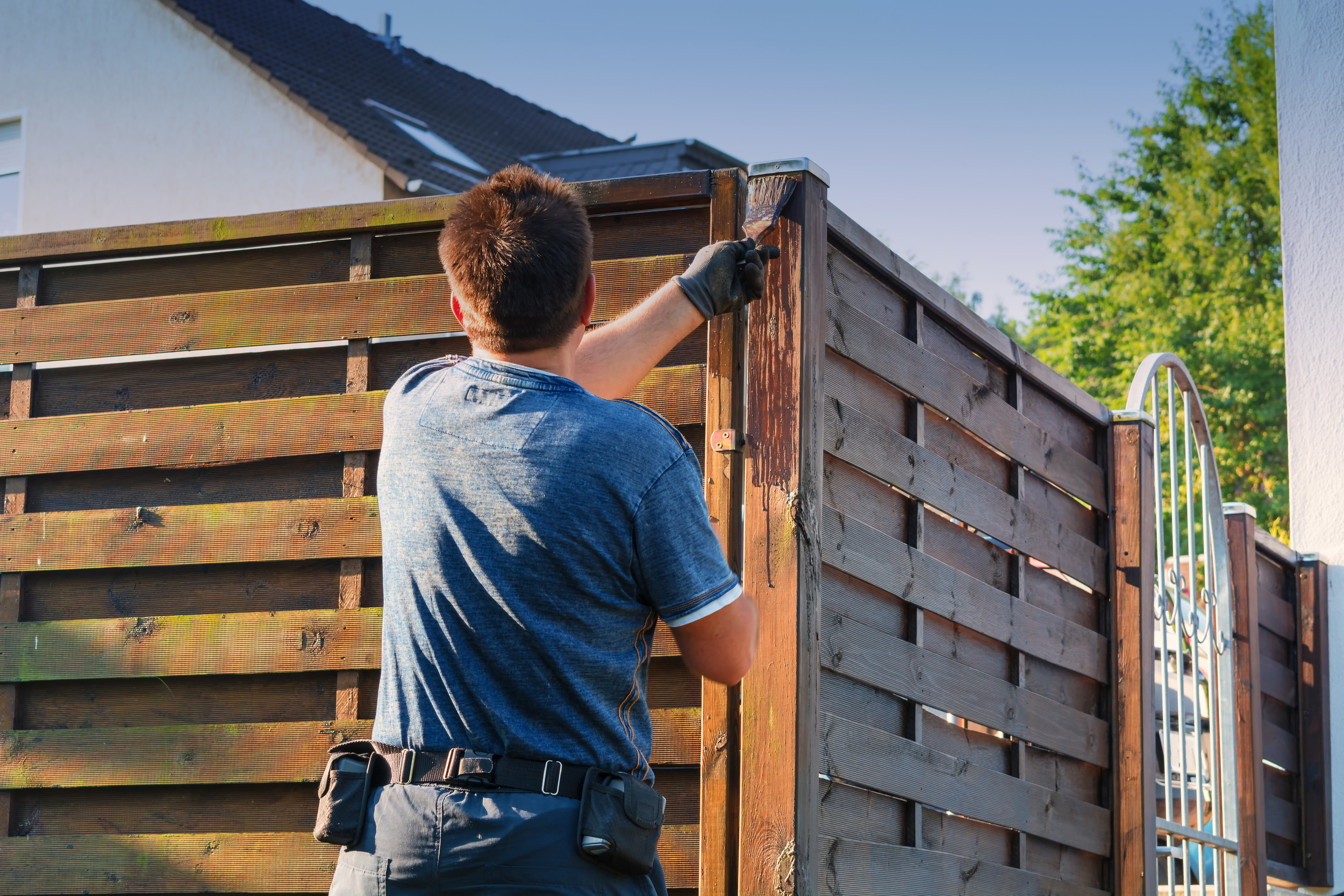 Read more about the article Staining Fence