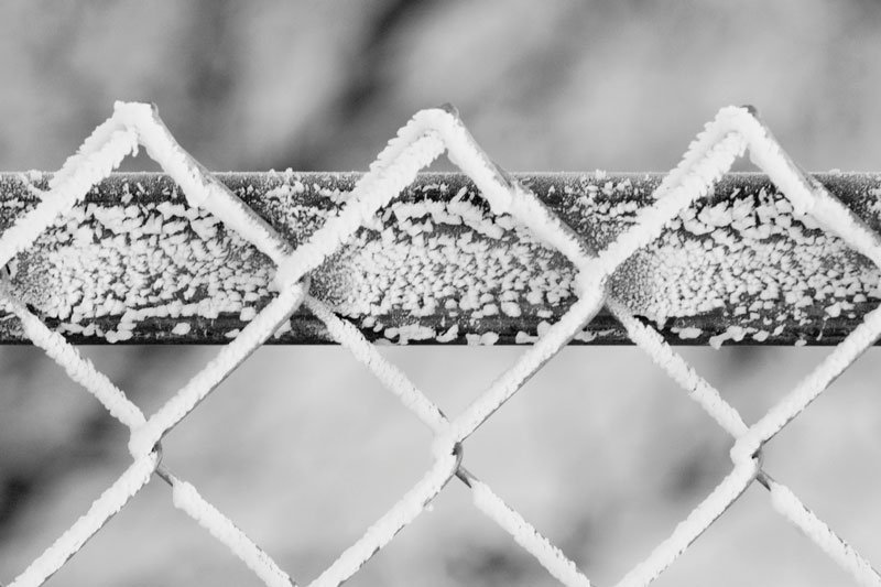 You are currently viewing Is it OK to Build a Fence in Fall or Winter?