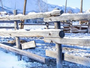 Snow on a rural rail fence