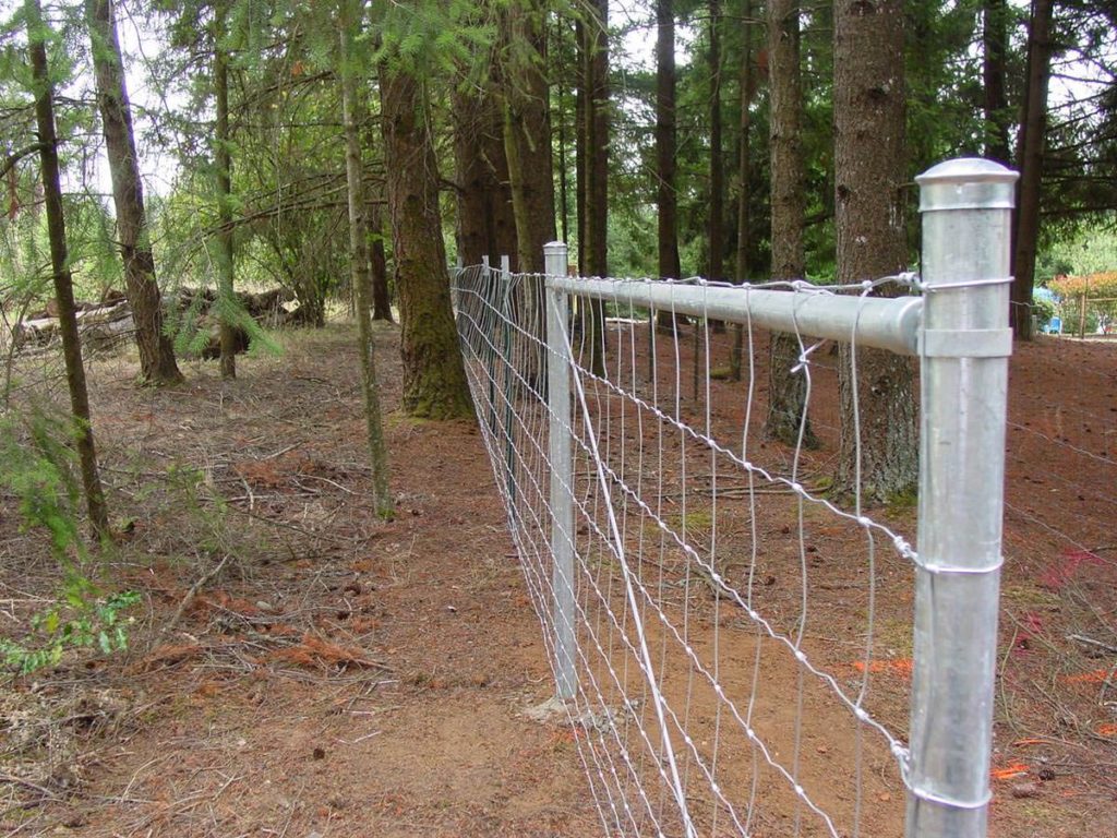 fences-054.jpg