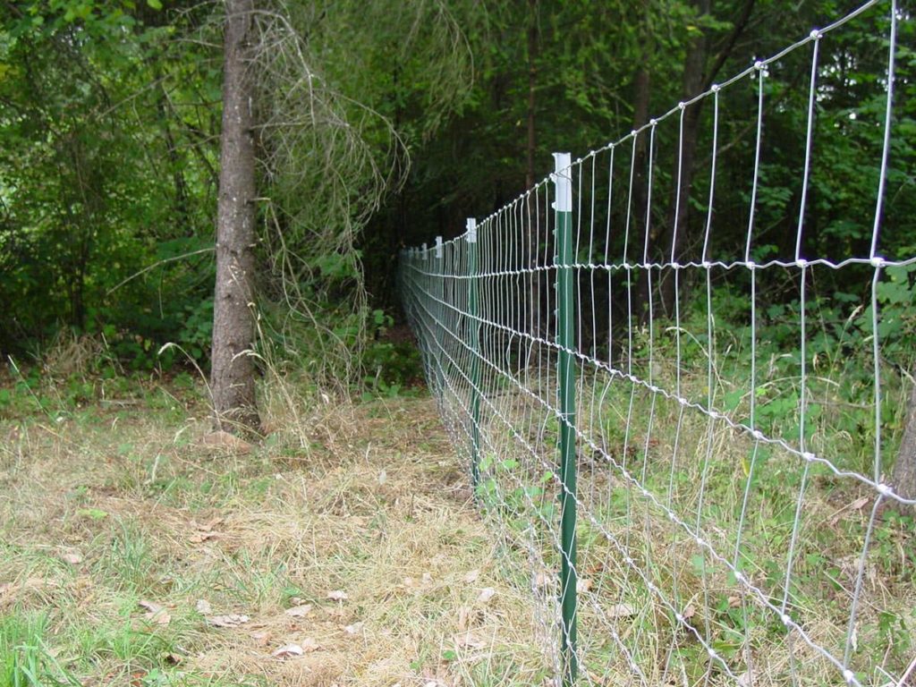 fences-0621.jpg