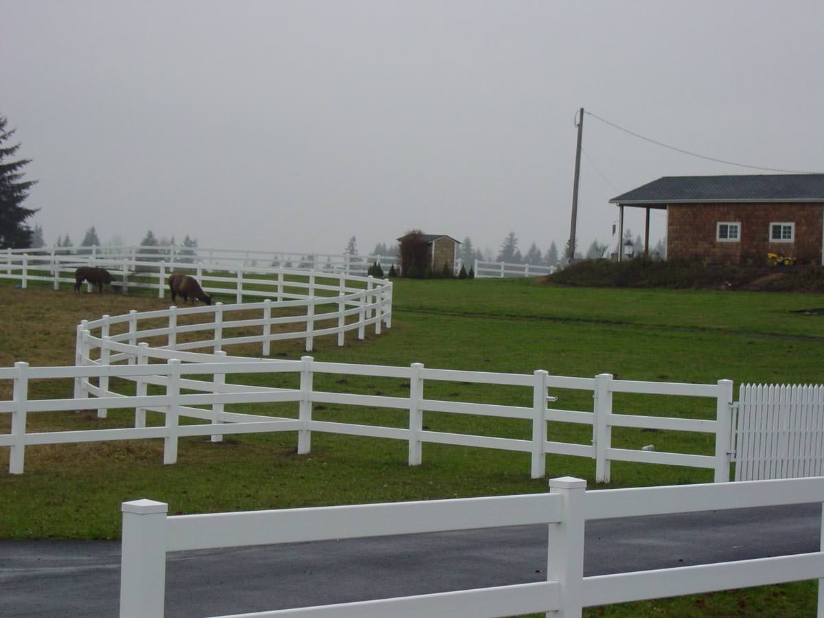 Read more about the article Vinyl Fencing vs Wood Fencing