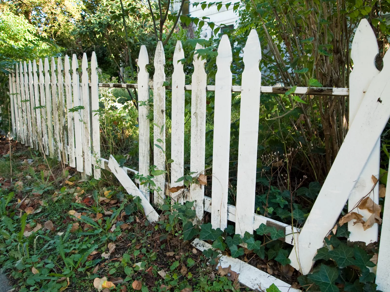 You are currently viewing How to Repair vs Replace a Fence: A Portland Homeowner’s Decision Guide