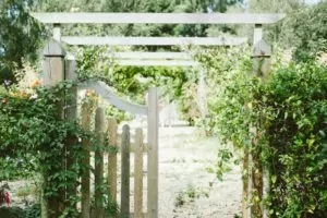 Read more about the article How to Build a Small Garden Fence
