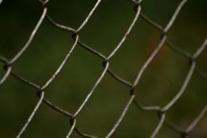Read more about the article What Is A Chain-Link Fence Made Of?