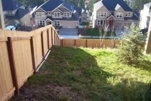Backyard Wood fence to help illustrate wood fence removal