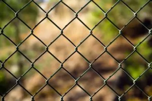 An ordinary chain link fence section frames a wooded scene to illustrate fence inspection time