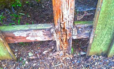 Rotten fence replacement Portland OR 