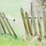 Fence Replacement vs Repair in Portland