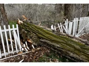 Damaged old wooden fence from storm