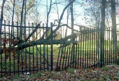 Damaged Fence 4