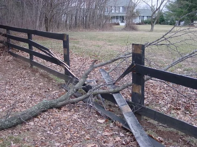 Damaged Fence 5