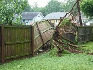 Read more about the article Series of Storm Damaged Fences