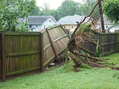 You are currently viewing Series of Storm Damaged Fences