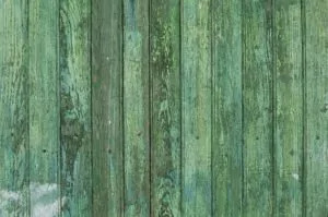 Read more about the article Cleaning Mold And Moss Off Your Fence