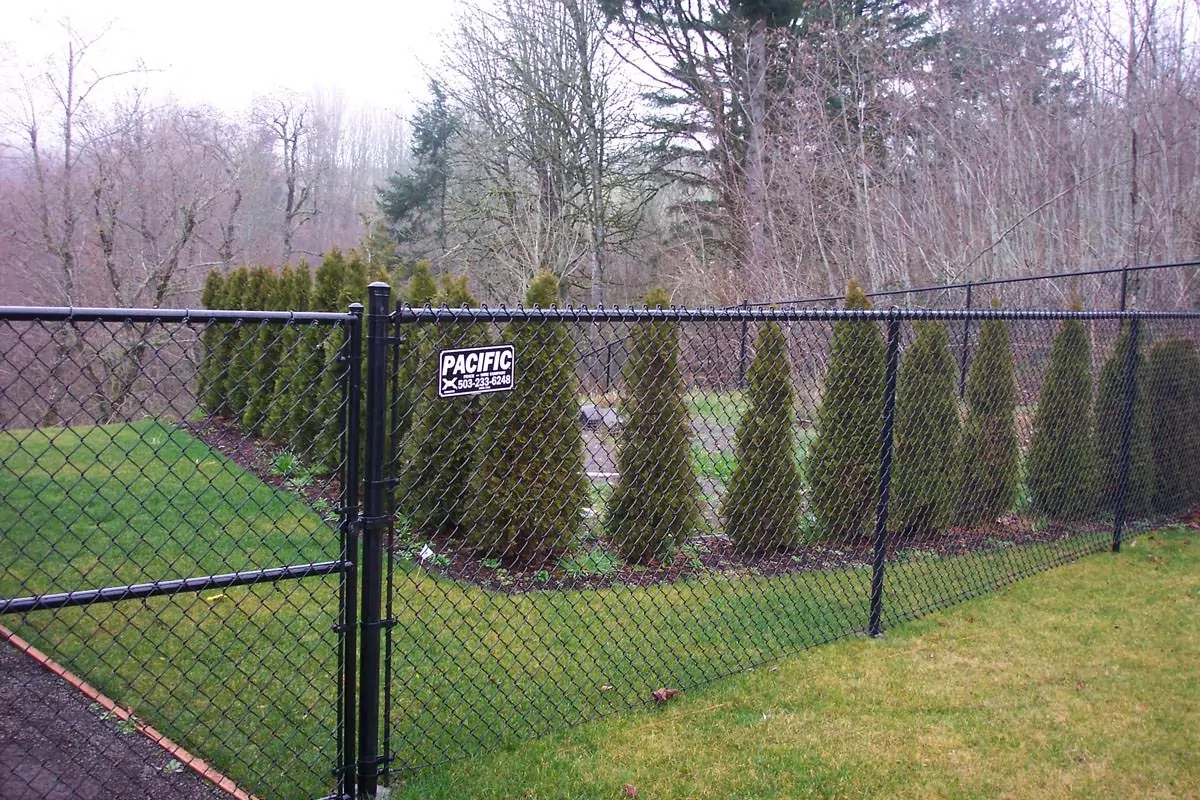 A chain link fence with black coating to help illustrate residential fencing options.