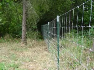 fences-062.jpg