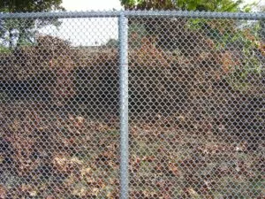 Chain Link Fence 51