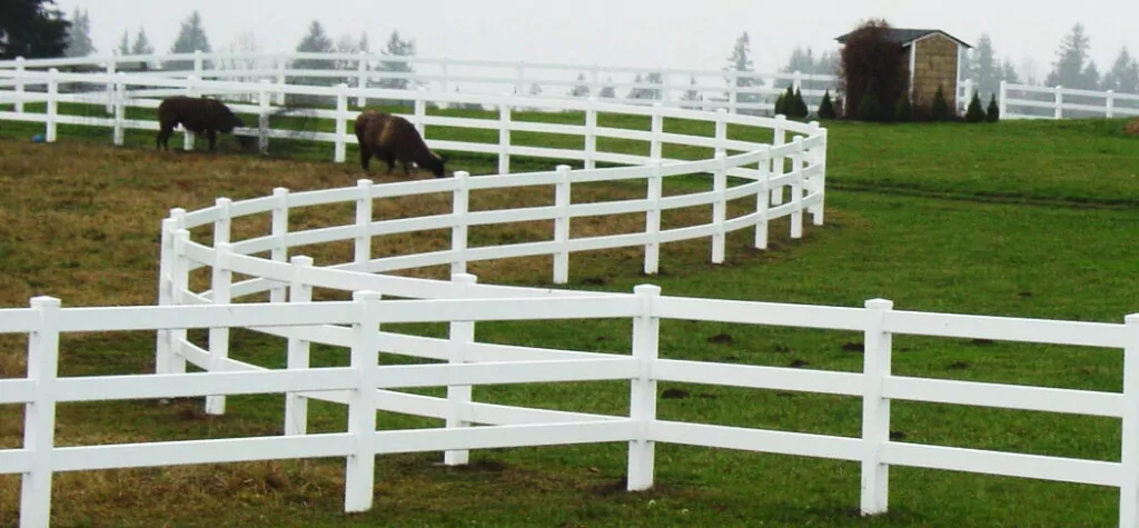 A winding farm fence with a couple of cows grazing to illustrate farm fence solutions to help illustrate choosing the Best fence.
